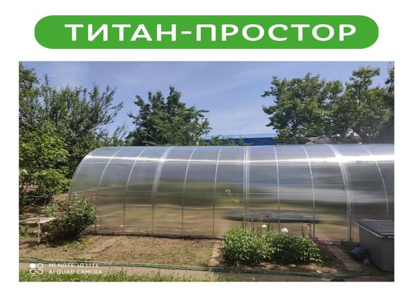 Преимущества теплиц из поликарбоната